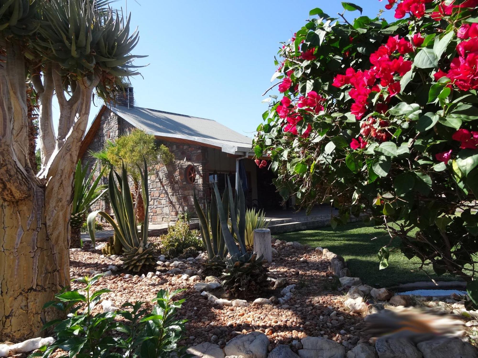 Chausib Rooisand Desert Ranch חדר תמונה